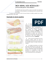 Anatomia General Dos Musculos-1