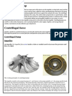 Centrifugal Pump