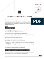 14 - Global Environmental Issues