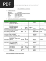 Acta de Entrega de Bienes