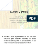 Carrizo y Bambú