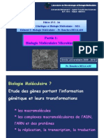 Biologie Moleculaire Microbienne