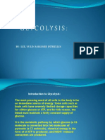 Glycolysis:: By: Lee, Yulin & Blessie Estrelles