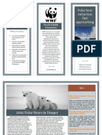 Polar Bear Brochure