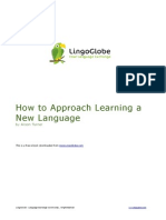 Lingoglobe-How To Approach Learning A New Language