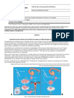 Teste de Avaliacao Escrita de Biologia 12A 2