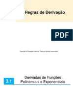 3.1 Derivadas de Funções Polinomiais e Exponenciais