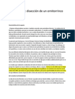 La Crónica Ornitorrinco PDF