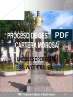 Proceso de Gestion de Cartera Morosa