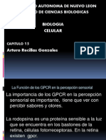 La Función de Los GPCR en La Percepción Sensorial