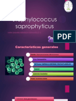 Staphylococcus Saprophyticus