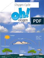 The Oxygen Cycle