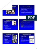 Fundamentos de La Ciencia de La Carne