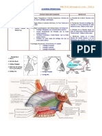 Anatomofisiología Rinosinusal