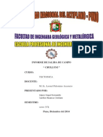 Informe Proyecto Tectonico