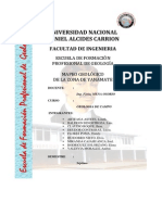 Informe MAPEO GEOLOGICO DE LA ZONA DE YANAMATE - PASCO-PERU