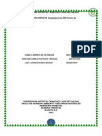 Ciclo de Vida Sangalopsis S.P.