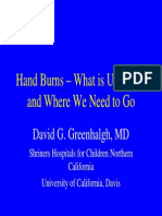 Hand Burns - What Is Unknown and Where We Need To Go: David G. Greenhalgh, MD