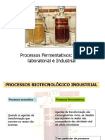 Aula 1 - Processos Fermentativo Industrial