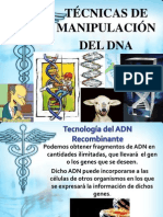 Manipulacion Del DNA