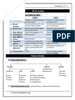 Neurology