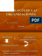 Sociologia de Las Organizaciones