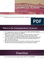 Integumentary System