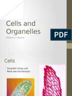 Cells and Organelles: Patterns in Nature