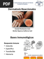 Dermatosis Reaccionales