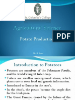 Potato Production