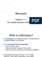 Monopoly Market Structure