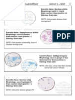 Bacteriology