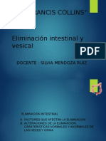 Eliminacion Intestinal y Vesical