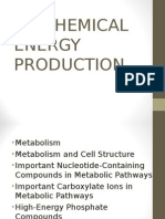 Metabolism