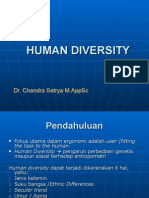 Human Diversity-Ergon