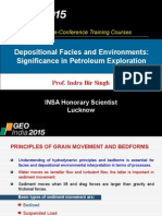 Ch1 - Depositional Facies and Environments Significance in Petroleum Exploration