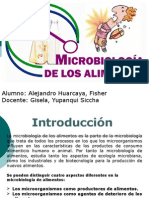 Microbiologia de Alimentos