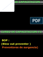 Curso BIP