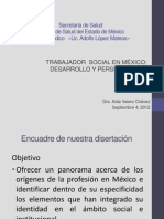 El Trabajador Social en Mexico Desarrollo y Perspectivas