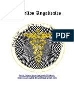 Sintoniacion de Los 49 Sellos Angelicales PDF