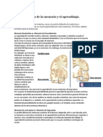 Neurofisiologia de La Memoria y El Aprendizaje Mackay