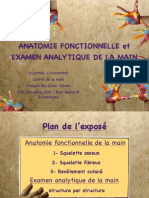 1-1 Anatomie Fonctionnelle de La Main