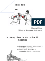 Lesiones de La Mano