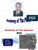 Anatomy Pharynx