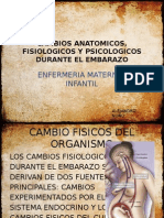 Cambios Anatomicos, Fisiologicos y Psicologicos Durante El