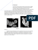 Structure of Regolith Simulant