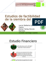 Analisis de Factibilidad Cultivo Cacao