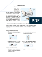 Practica Textura Del Suelo