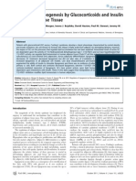 Regulation of Lipogenesis by Glucocorticoids and Insulin in Human Adipose Tissue