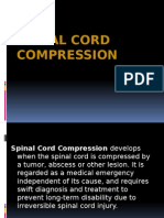 Spinal Cord Compression